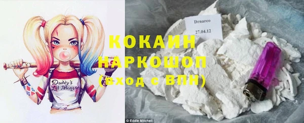 mdpv Каменногорск